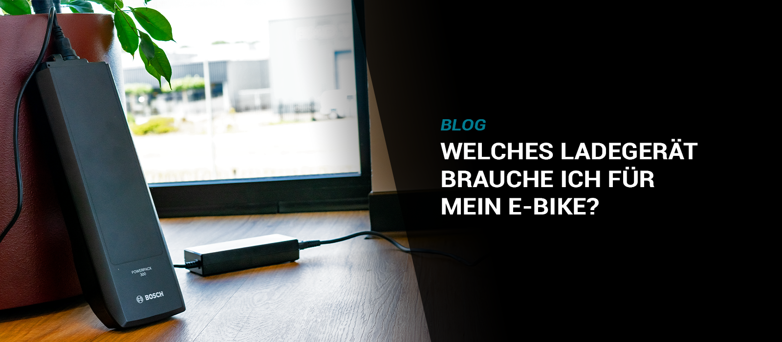 Welches Ladegerät brauche ich für mein E-Bike?