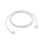 Apple USB-C-oplaadkabel 60W (1m)